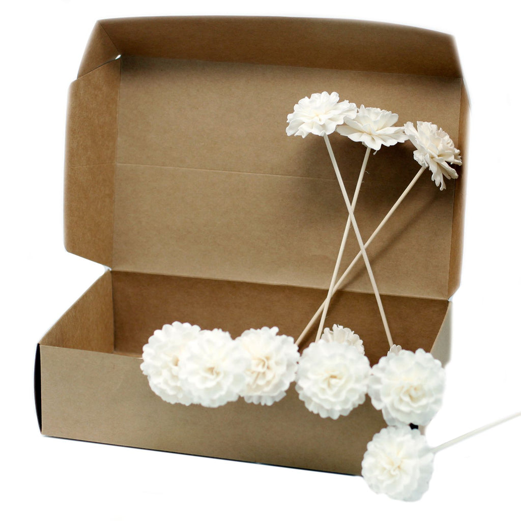 Conjunto de 4 Varetas para Difusor com Flores de Cravo — 23 cm