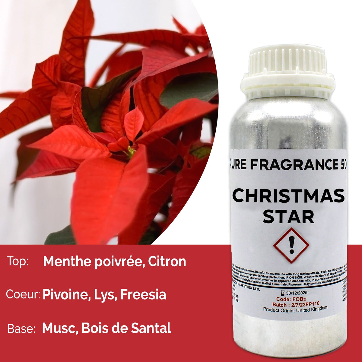 Óleo de Fragrância Puro Estrela de Natal – 500 ml | Ancient Wisdom