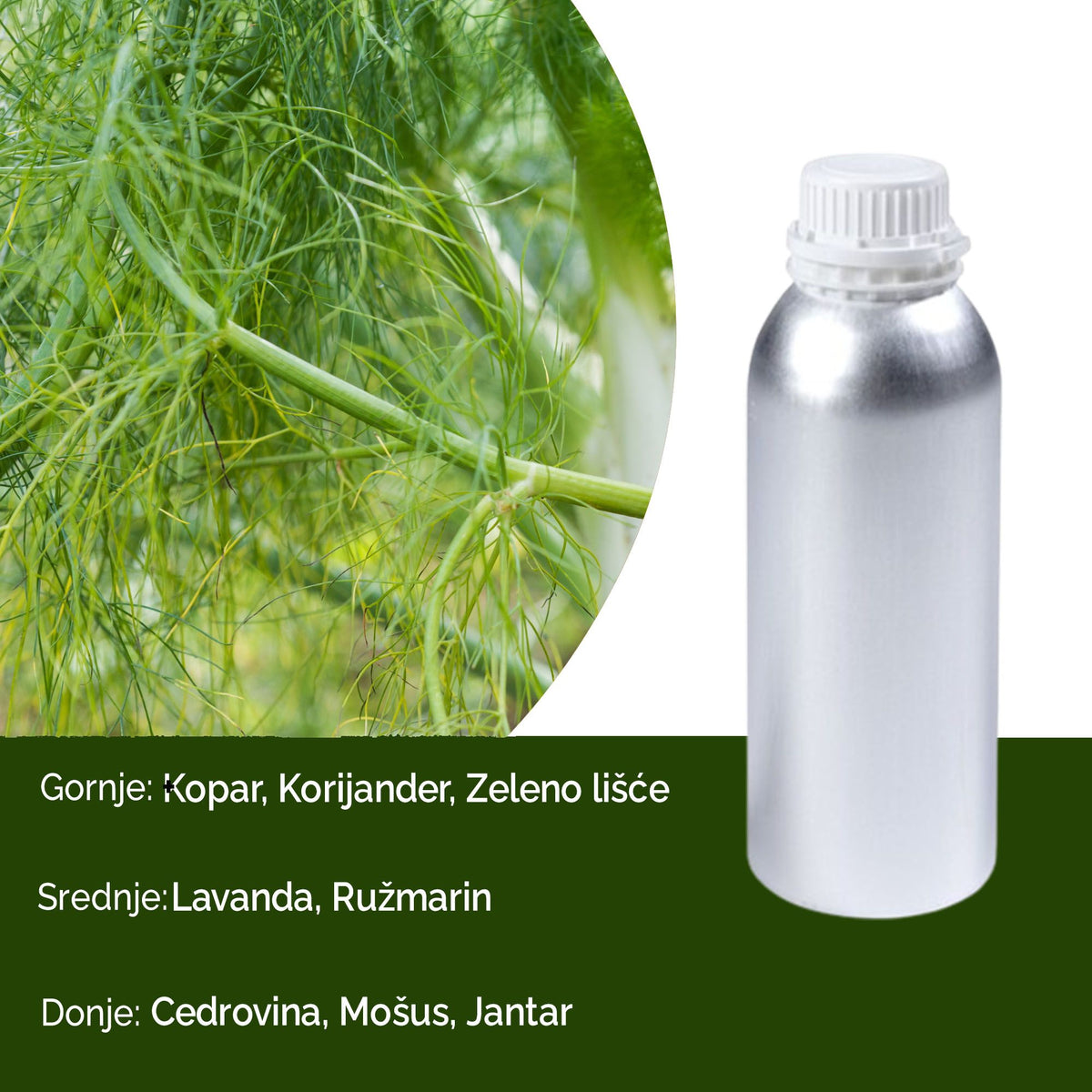 Óleo de Fragrância Puro Funcho Doce e Jojoba – 500 ml | Ancient Wisdom