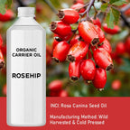 Óleo Base Biológico de Rosa-Mosqueta – 1 Litro | Ancient Wisdom