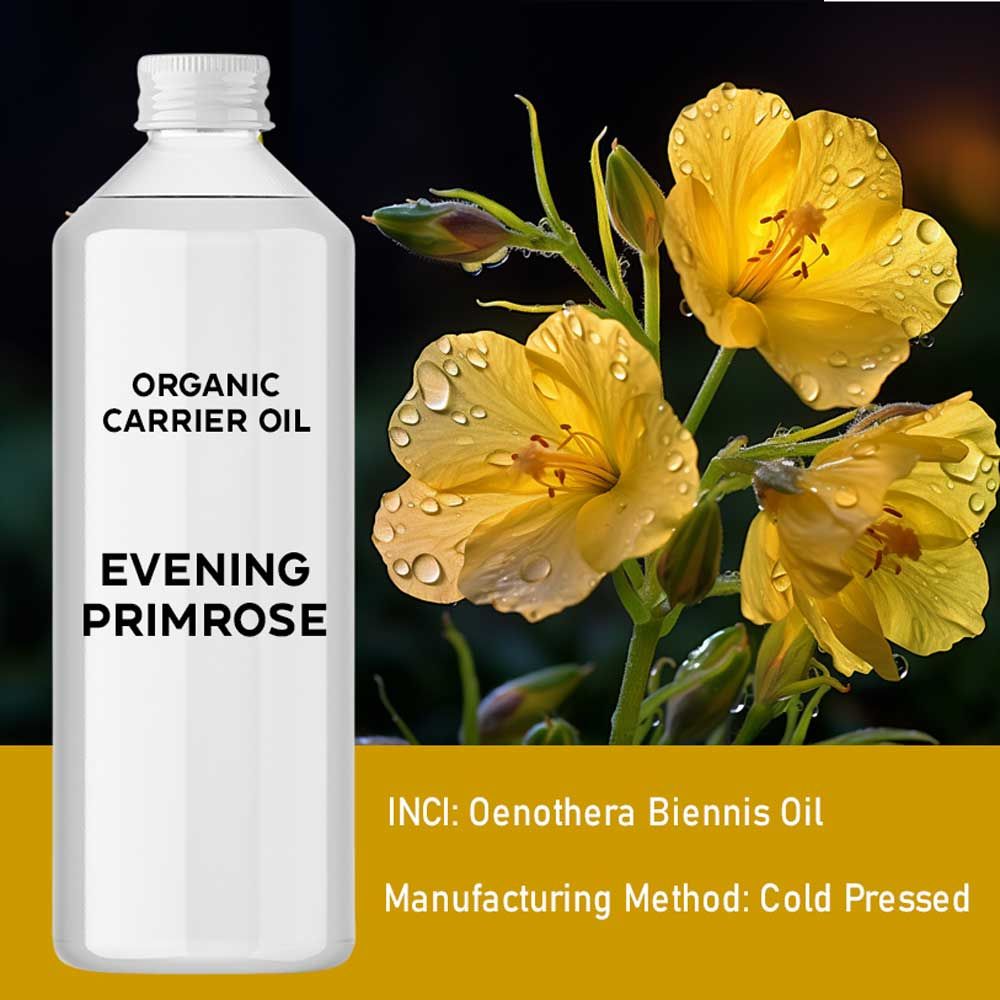 Óleo Base Biológico de Onagra – 1 Litro | Ancient Wisdom