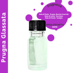 Óleo de Fragrância Ameixa Açucarada – 10 ml sem Rótulo | Ancient Wisdom