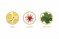 AROMATIC•89• - Curious Crafts