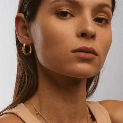 Argolas Textured MESH