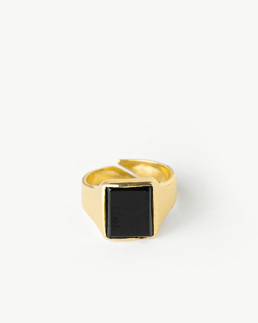 Anel Parentage R MESH