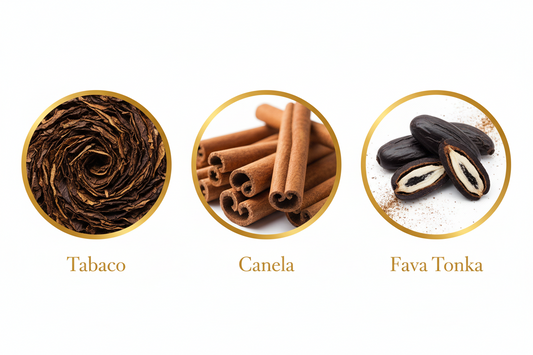 AROMATIC•89• - Prestígio