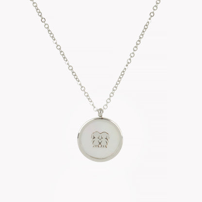 Steel necklace with mother of pearl for two girls
