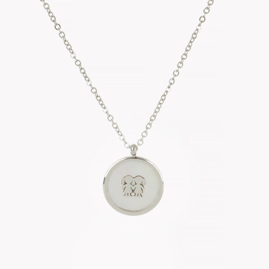 Steel necklace with mother of pearl for two girls